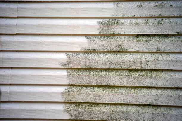 Best Shed Removal  in Coalinga, CA